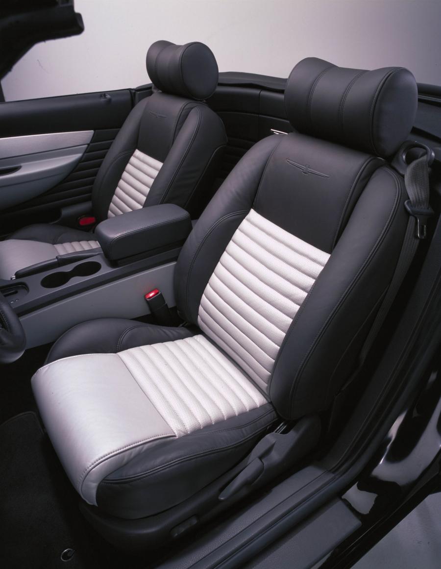  Ford Thunderbird Neiman Marcus Edition 2002 года  (фото 25 из 61)
